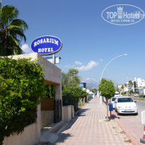 фото из отзыва ID 831535