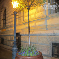 фото из отзыва ID 831703