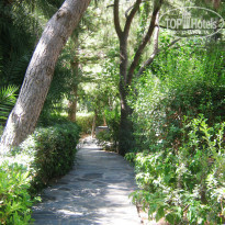 фото из отзыва ID 831708