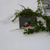 фото из отзыва ID 831735