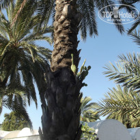 фото из отзыва ID 831741