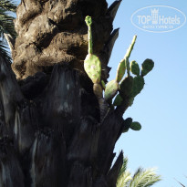 фото из отзыва ID 831741