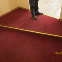 фото из отзыва ID 831833