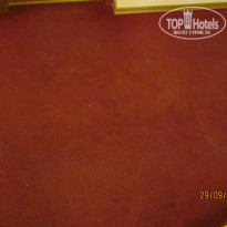 фото из отзыва ID 831833