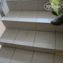 фото из отзыва ID 831833