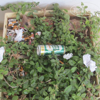 фото из отзыва ID 831933