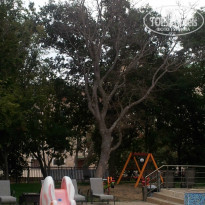 фото из отзыва ID 831967