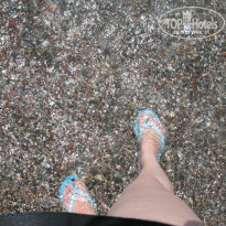 фото из отзыва ID 831499