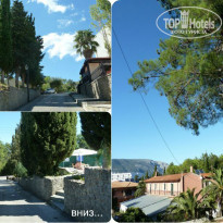 фото из отзыва ID 832168