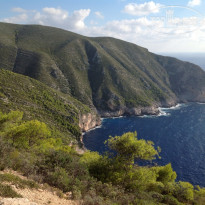 фото из отзыва ID 832478