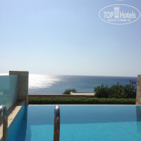 фото из отзыва ID 832684