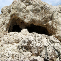 фото из отзыва ID 832923