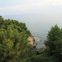 фото из отзыва ID 832980