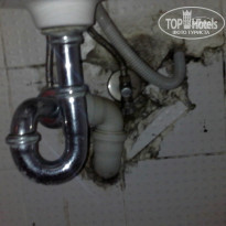 фото из отзыва ID 832388