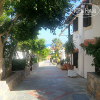 фото из отзыва ID 832056