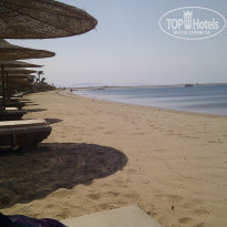 фото из отзыва ID 832444