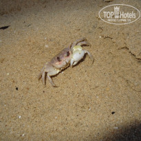 фото из отзыва ID 832079