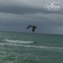 фото из отзыва ID 832148