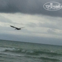 фото из отзыва ID 832148