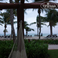 фото из отзыва ID 833183