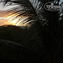 фото из отзыва ID 833183