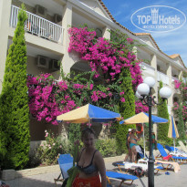 фото из отзыва ID 833271