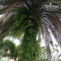 фото из отзыва ID 833383