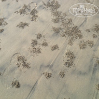 фото из отзыва ID 833383