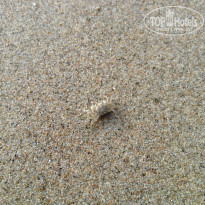 фото из отзыва ID 833383