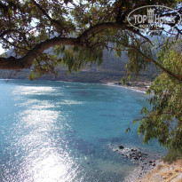 фото из отзыва ID 833441