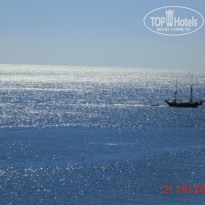 фото из отзыва ID 833486