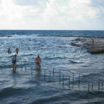 фото из отзыва ID 833496