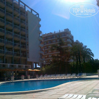 фото из отзыва ID 833498