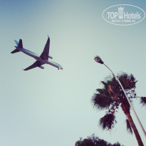 фото из отзыва ID 833666