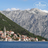 фото из отзыва ID 833884