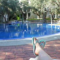 фото из отзыва ID 833989