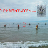 фото из отзыва ID 833299