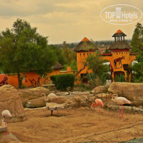 фото из отзыва ID 833712