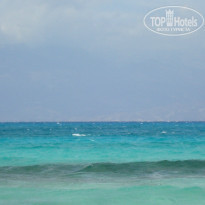 фото из отзыва ID 834235