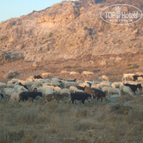 фото из отзыва ID 834235