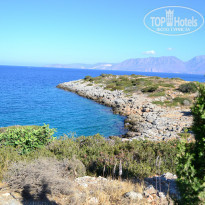 фото из отзыва ID 834339