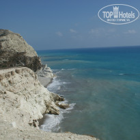 фото из отзыва ID 834387