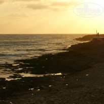 фото из отзыва ID 834387