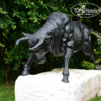 фото из отзыва ID 834563