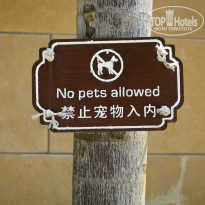 фото из отзыва ID 834585