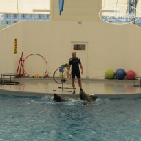 фото из отзыва ID 834754