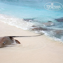 фото из отзыва ID 835043