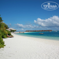 фото из отзыва ID 835043