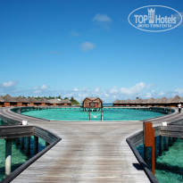 фото из отзыва ID 835043