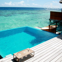 фото из отзыва ID 835043